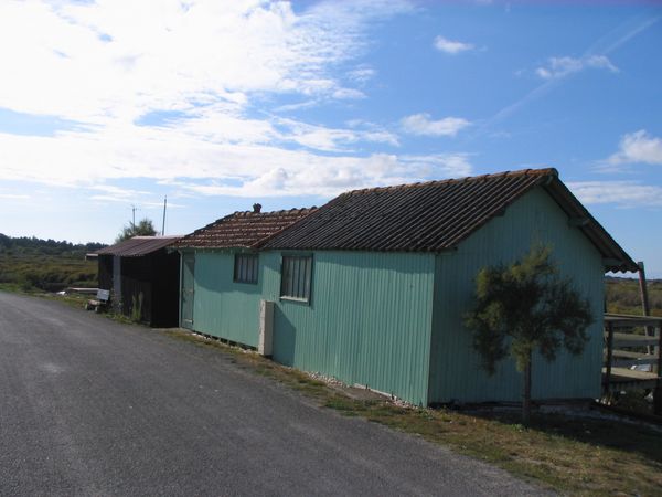 mornac 006